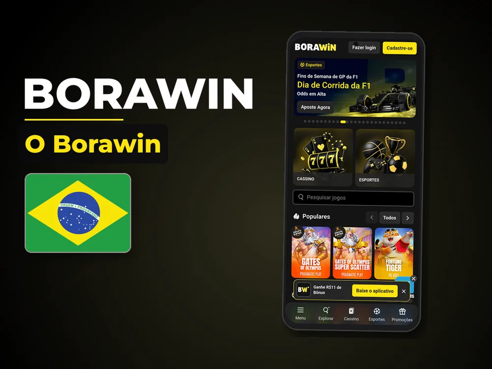 BoraWin - O Borawin