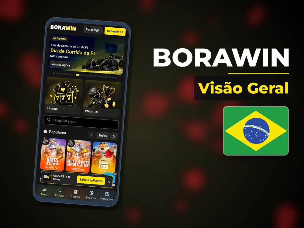 BoraWin - Visão Geral