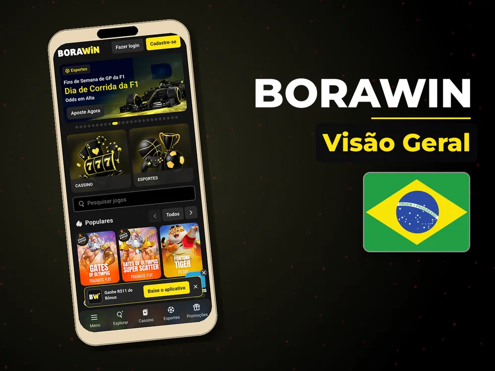 BoraWin - Visão Geral