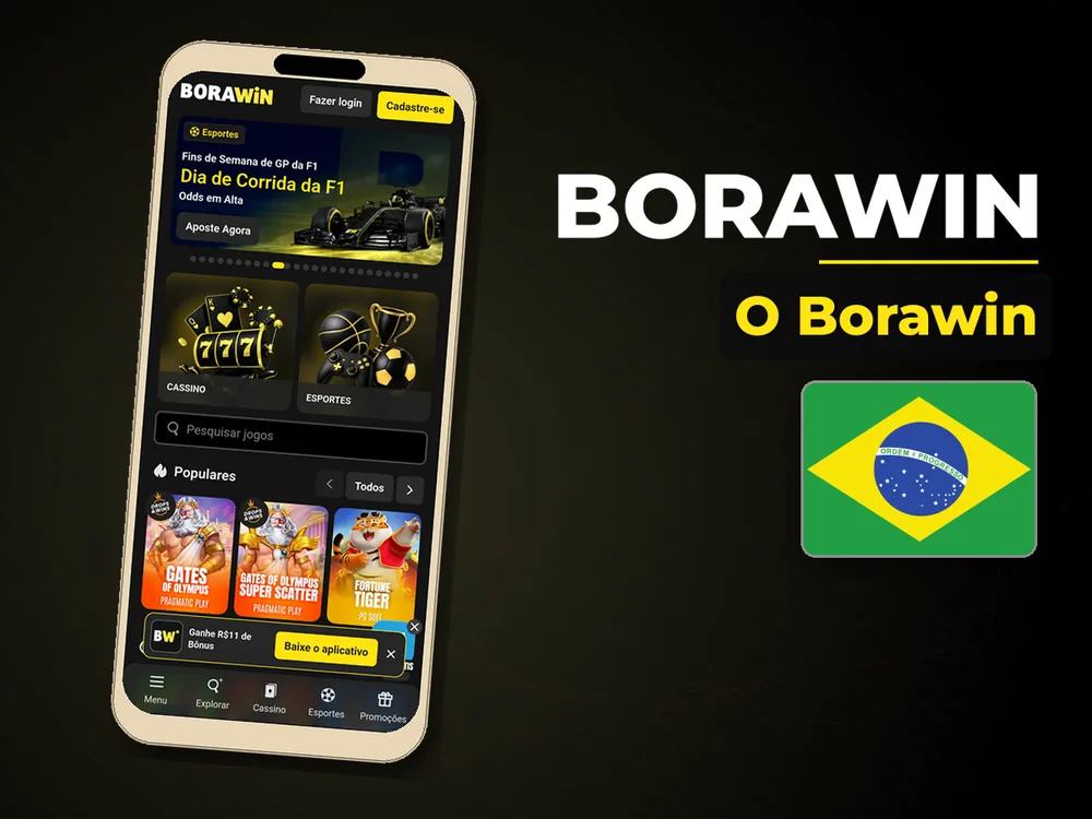BoraWin - O Borawin